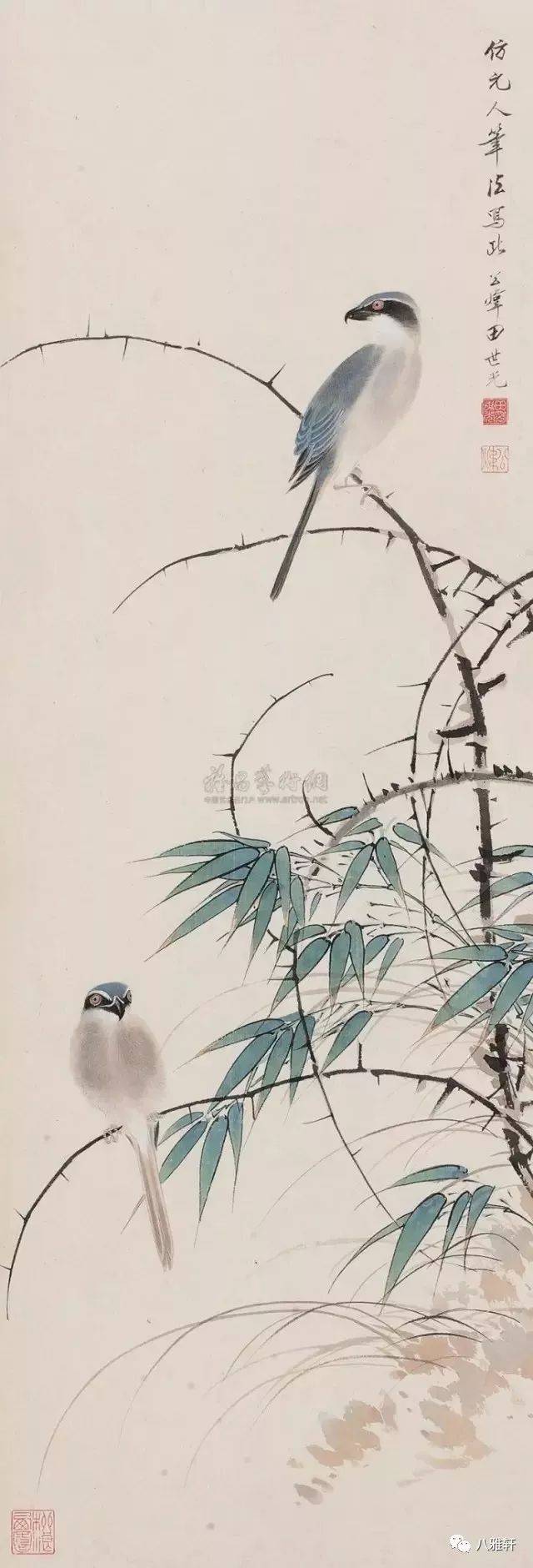 八雅轩丨【八雅丹青】田世光工笔花鸟大全,张张精彩!