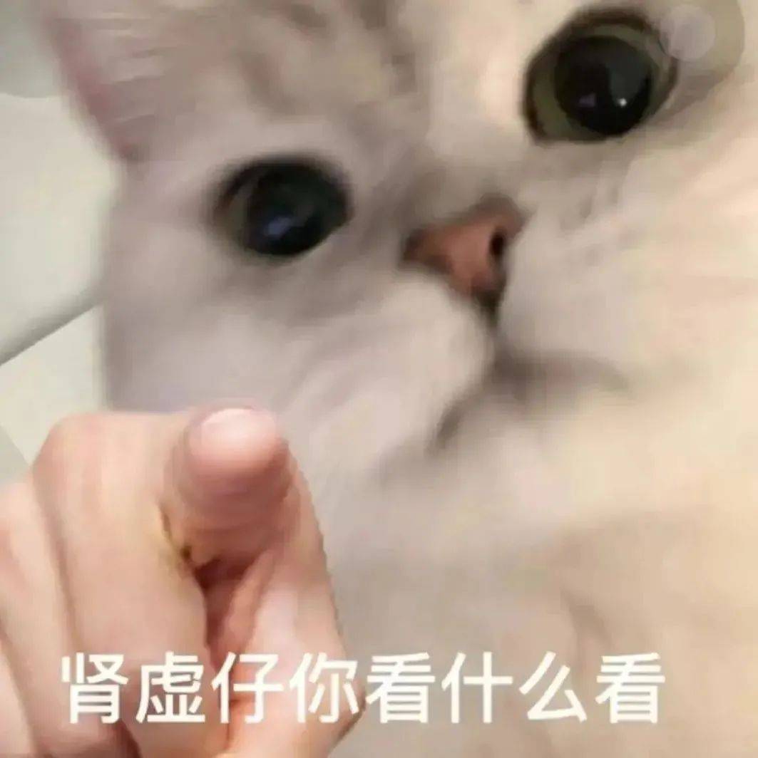 超赞的微信表情包:老婆好火辣