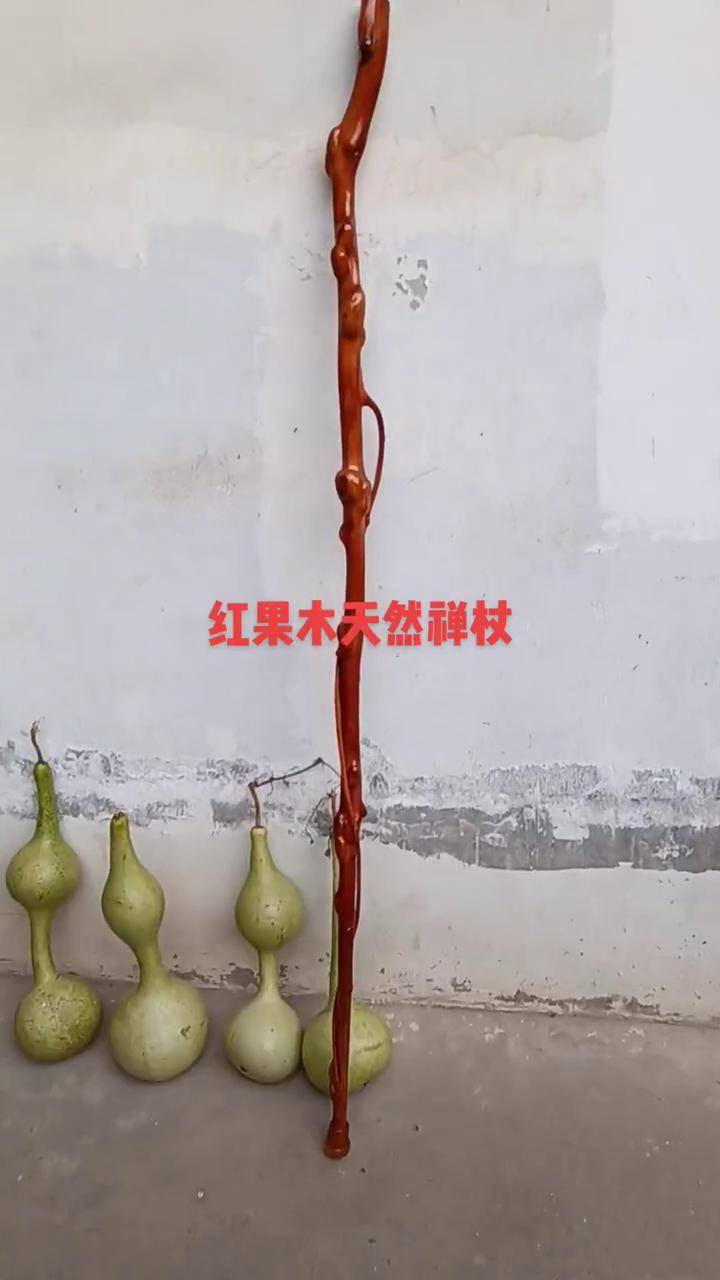 红果木天然禅杖