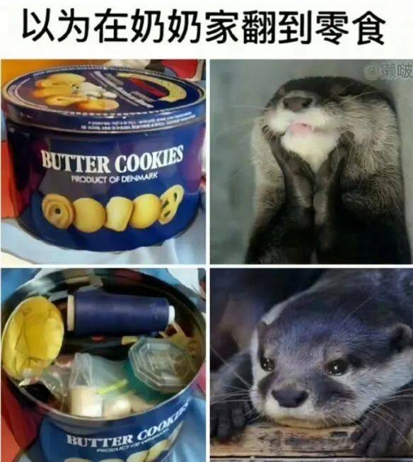 社会边角料，奶奶的小骄傲！