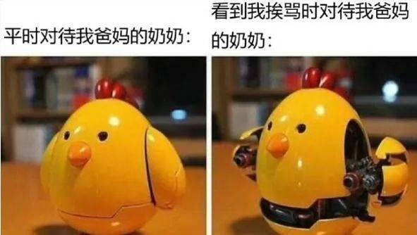 社会边角料，奶奶的小骄傲！