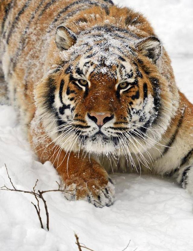 寅虎人:9月1日台风般的重大喜讯将改变你整个人生!