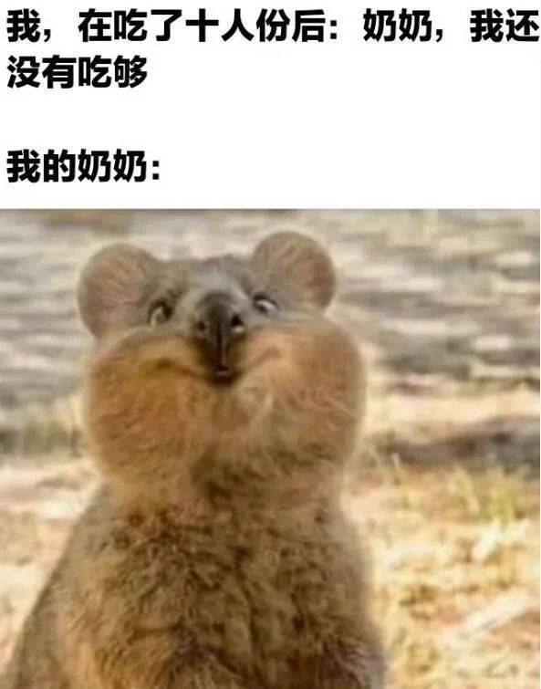 社会边角料，奶奶的小骄傲！