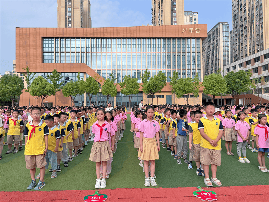 合肥市马岗小学图片