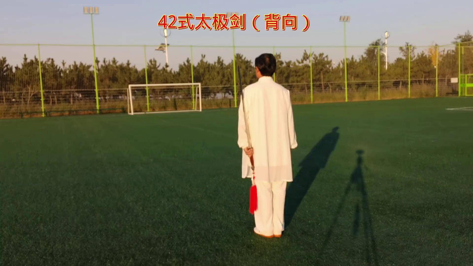 42式太极剑背向演练