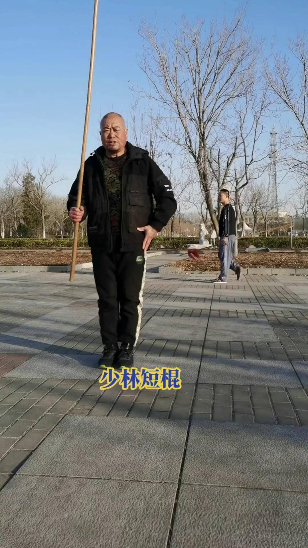 少林七步连环短棍图片