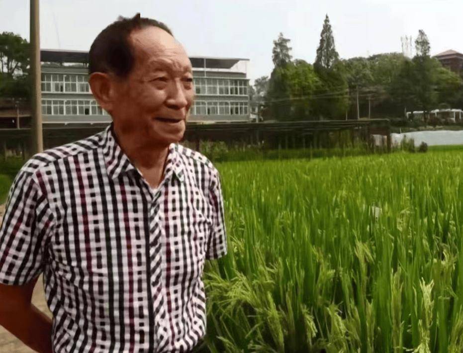 奉献一生只因摸豪车就被网暴,拯救14亿人的袁隆平却拯救不了自己