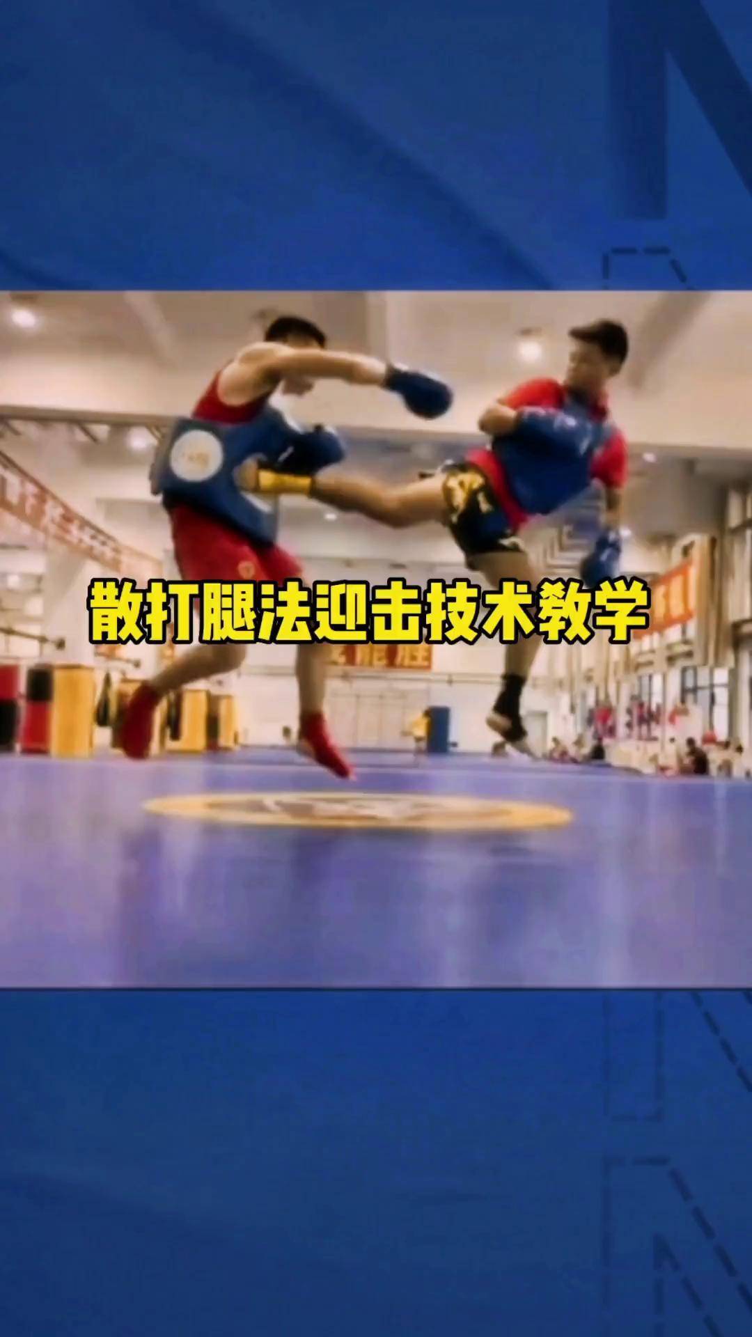 格斗集锦(格斗视频实战)