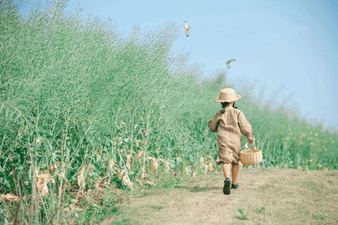 烂尾娃 遍地 父母再不懂 优势教养 就晚了