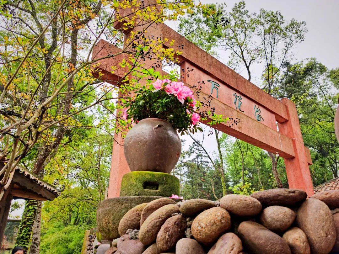 宜春花博园门票图片