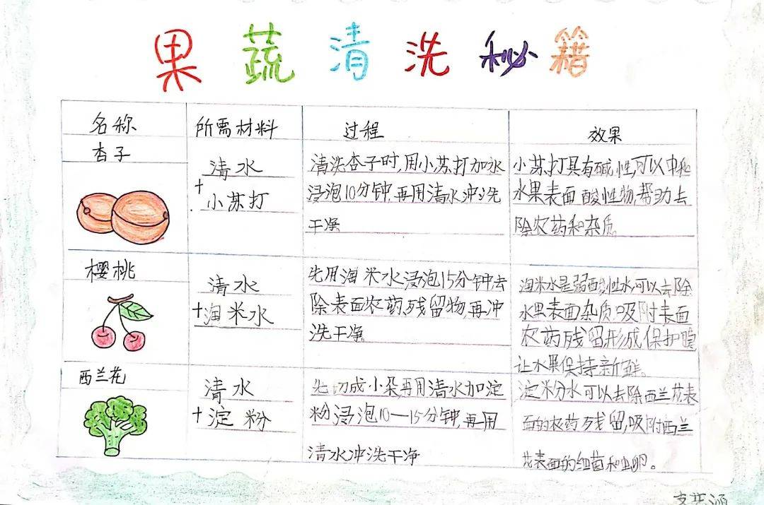 暑期实践显身手 夏日成长印记留————沧州市车站小学暑期实践作业