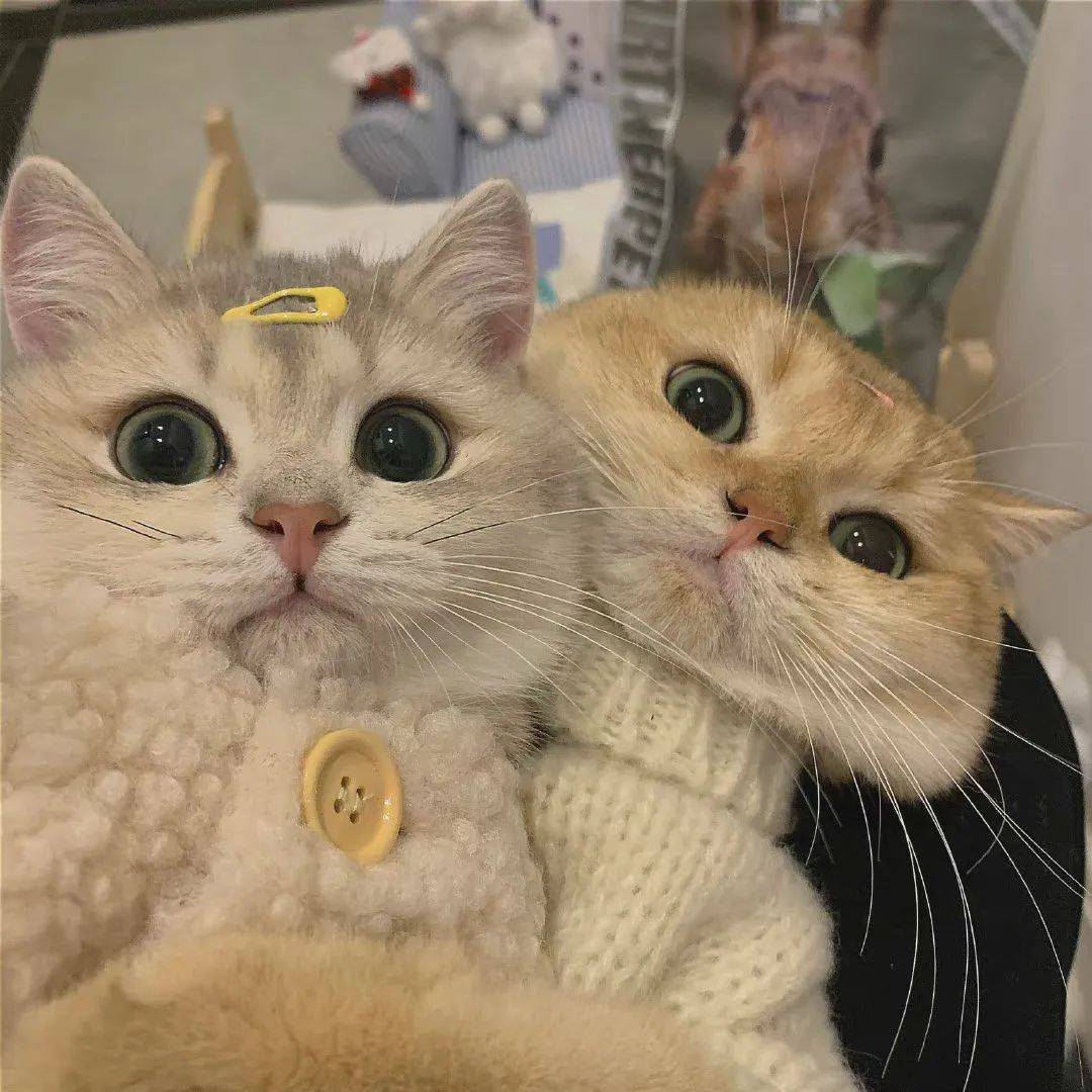 头像丨精选男女生头像