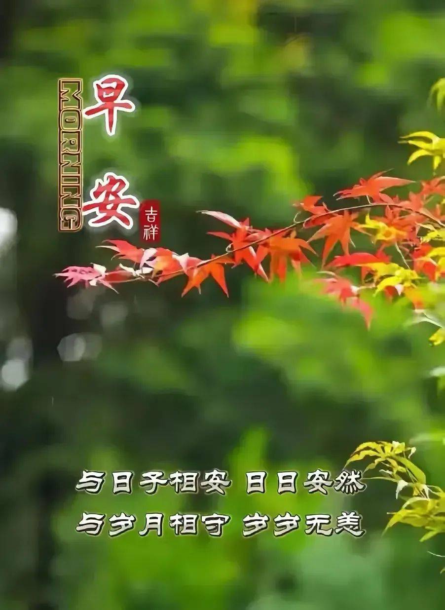 精美周末早安图片图片