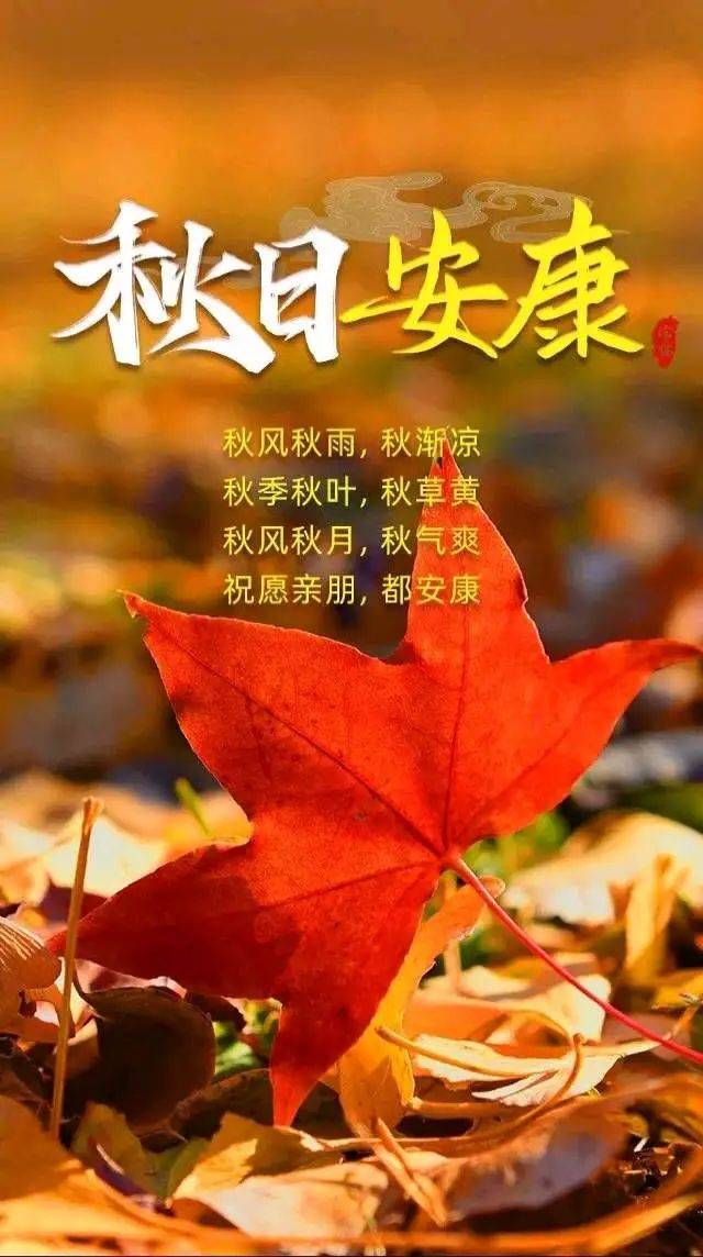 落叶知秋,情谊如画,岁月流转,问候依旧——早上好!