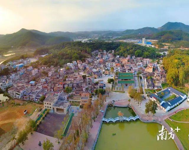 【乡村振兴】共和镇来苏村:古村新韵留乡愁_特色_鹤山_建设