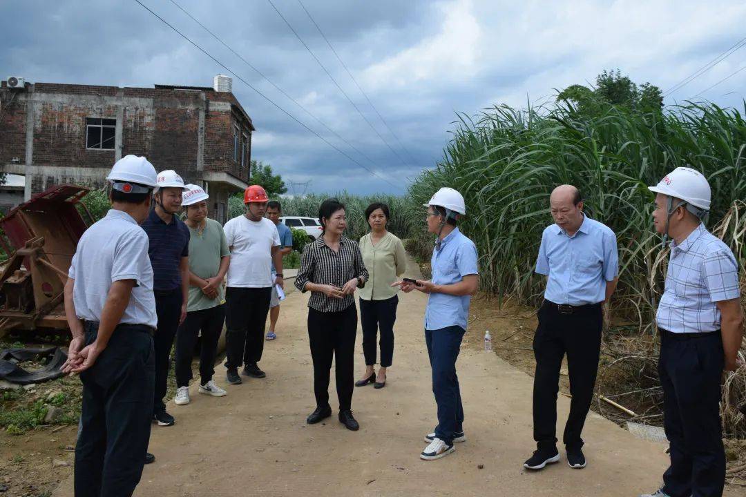 右五)在江州区罗白乡实地调研市人大常委会秘书长,办公室主任(兼)黄苓