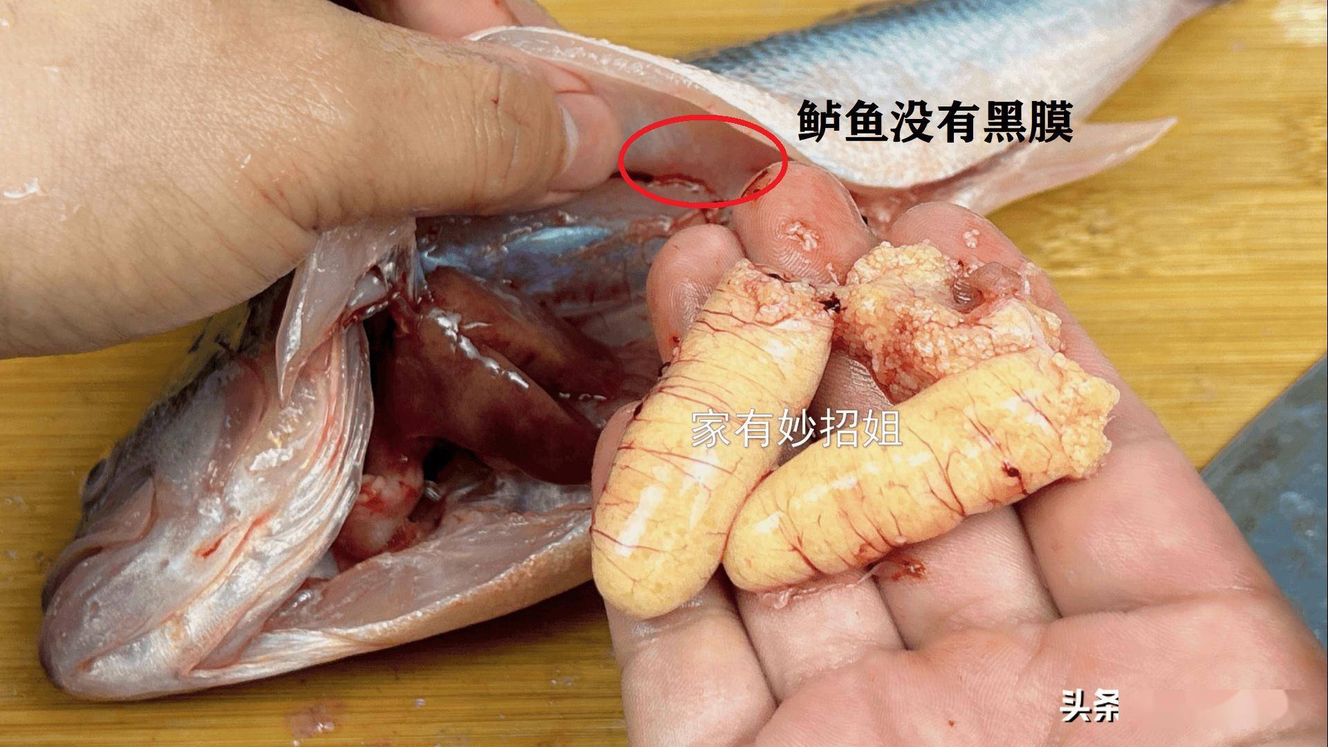 真是因为水脏才有吗?看完涨知识