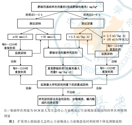 【标准·方案·指南】儿童扩张型心肌病诊断与治疗专家共识（2024）(图5)