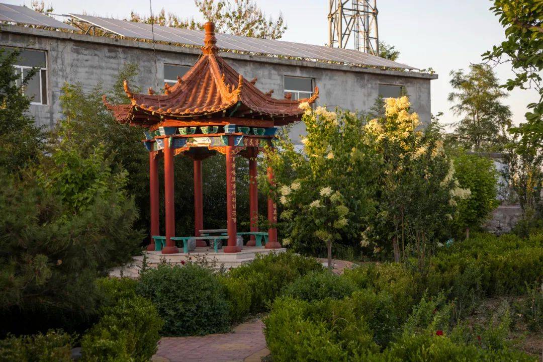 邵庄镇的村庄旧貌换新颜,如画般走来