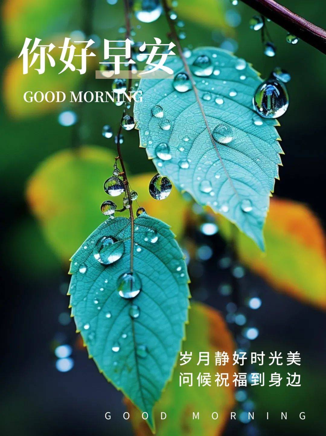 早安语录正能量句子新的一天新的开始三餐烟火暖四季安然