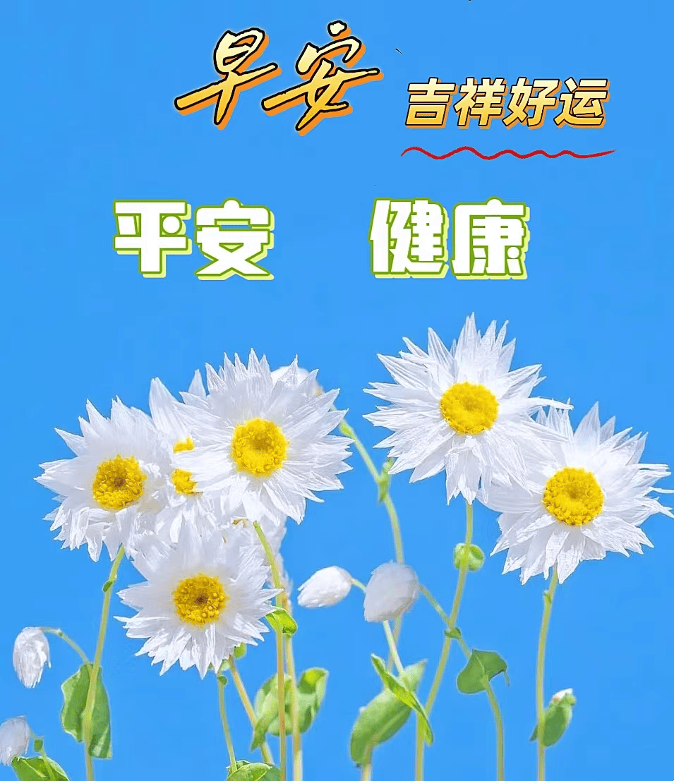 今日最新版早上好表情图片问候大全!快乐相拥,幸福相伴!