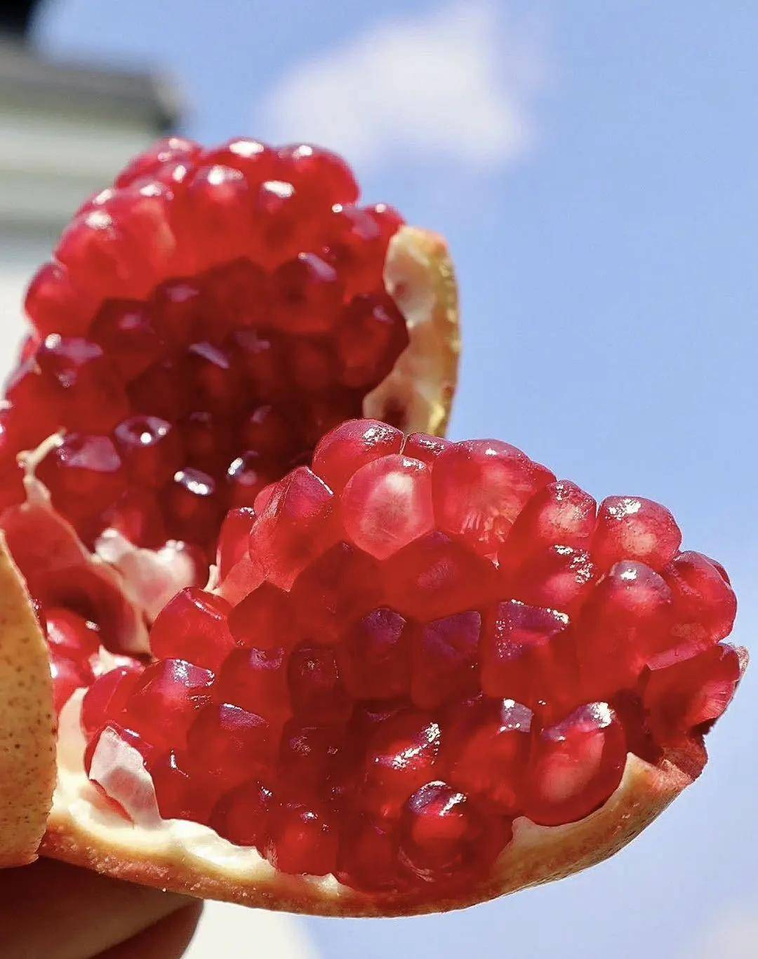 9元/5斤!不甜,不好;吃包]退.钱!_石榴_果肉_朋友