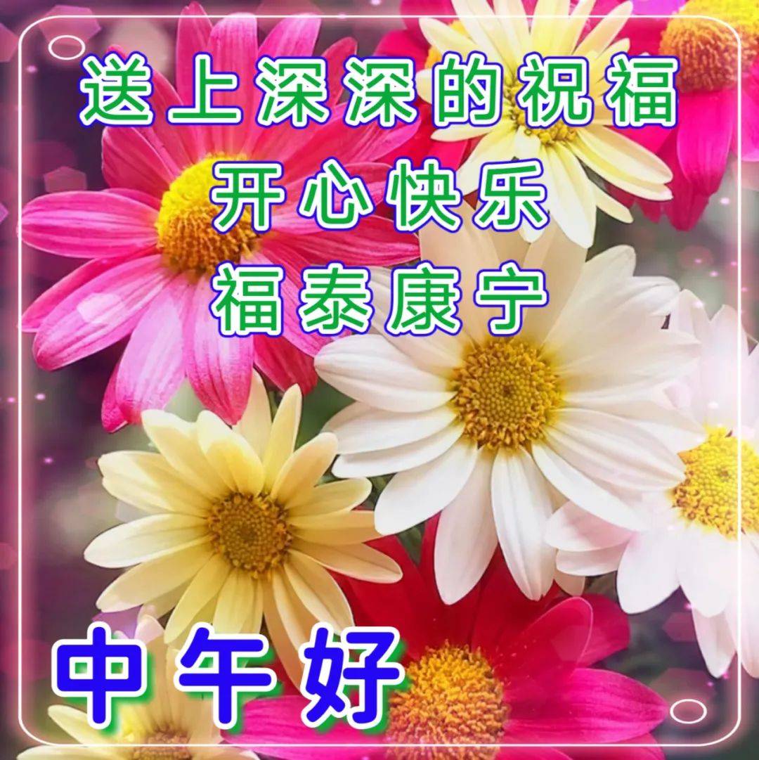 最新中老年早上好表情包大全真诚祝福快乐天天