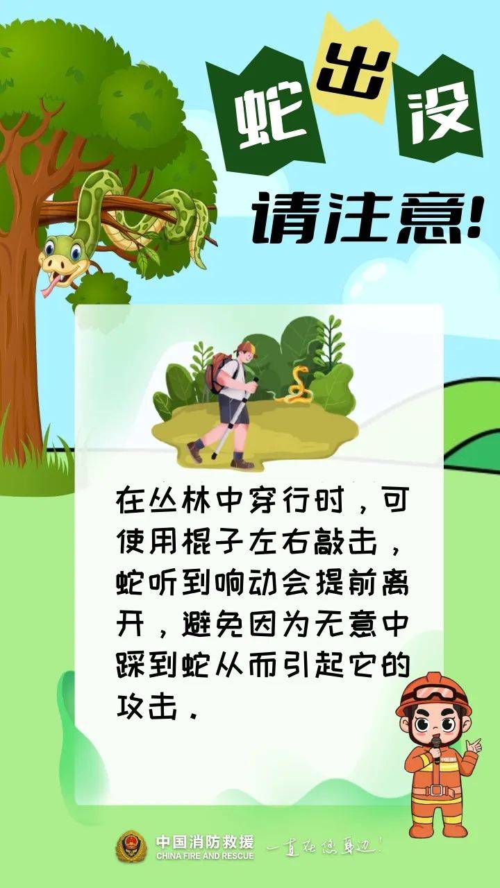 寻找蛇绝招图片