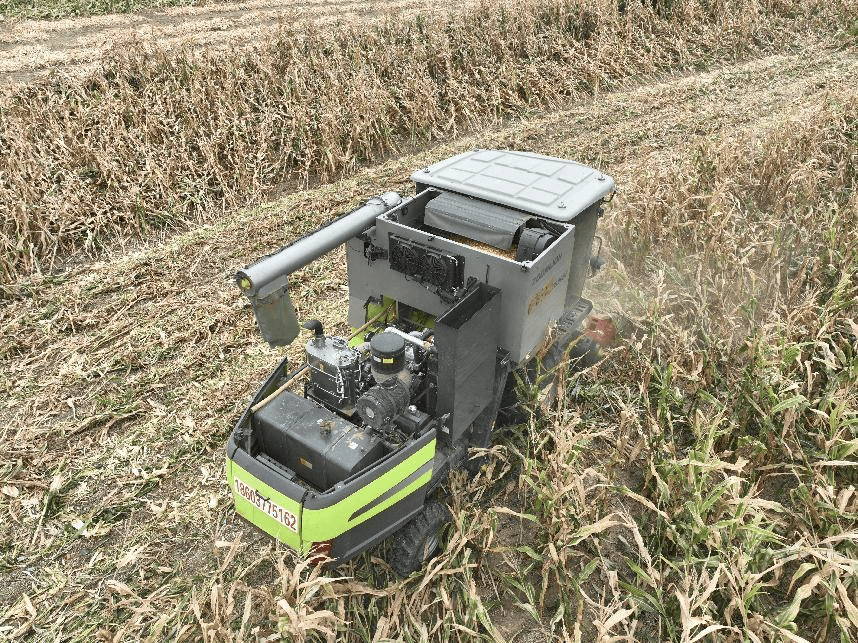 南阳市镇平县:金秋玉米喜迎丰收_潘庄村_收割机_杨营镇