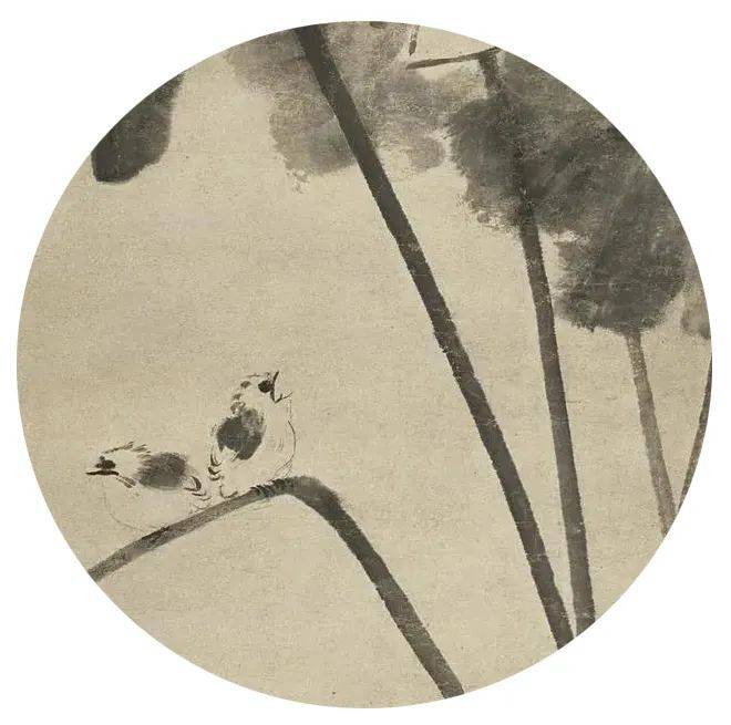 八大山人画鸟，画的是一生的知己_花鸟_鸟儿_鸟石