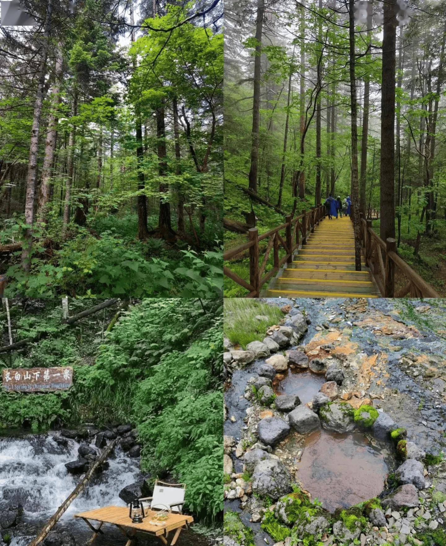 长白山,夏日国内避暑赏景的天花板(全攻略