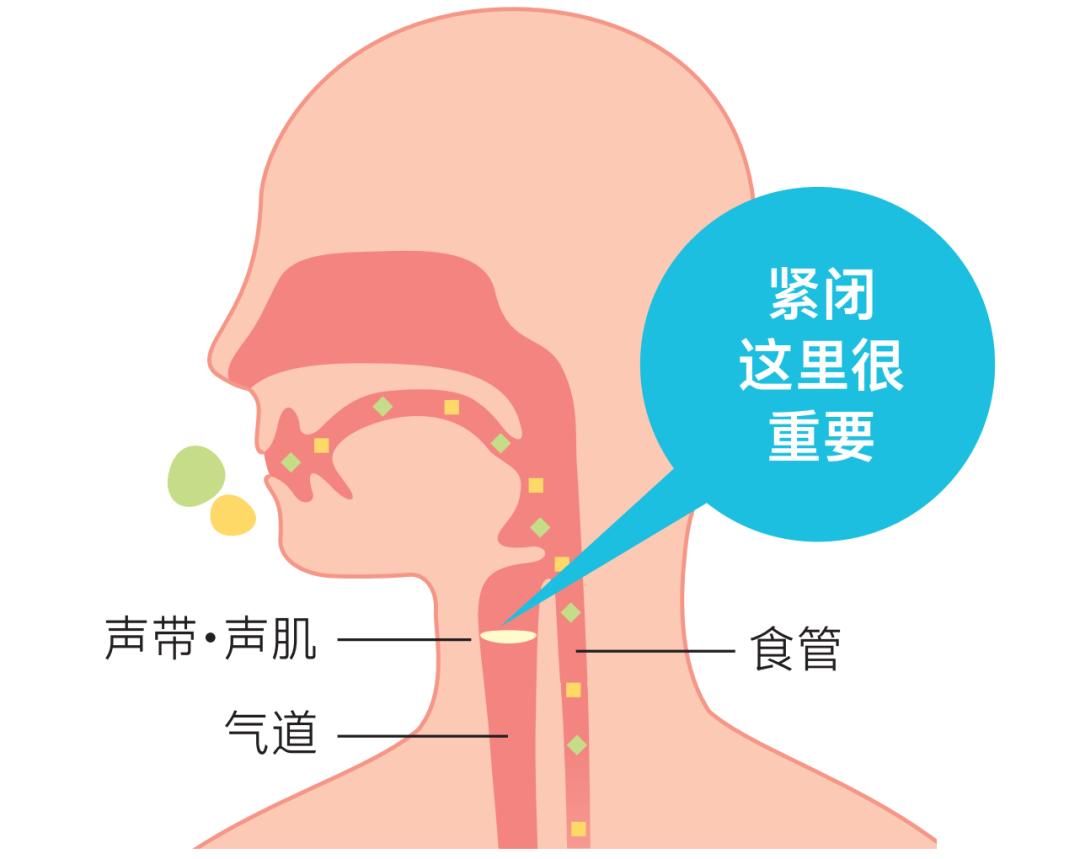 声门在哪个位置图片