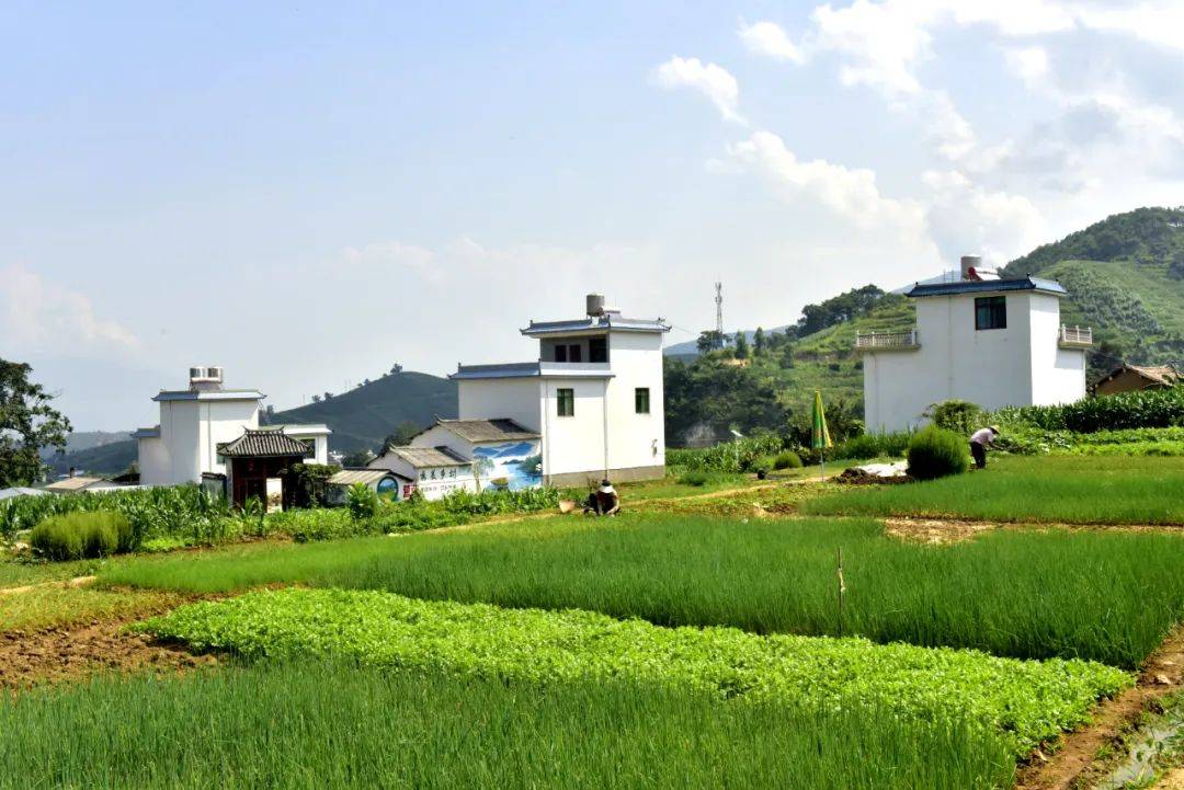 临沧云县"行走的妇女微家"在乡村振兴路上绽放巾帼风采