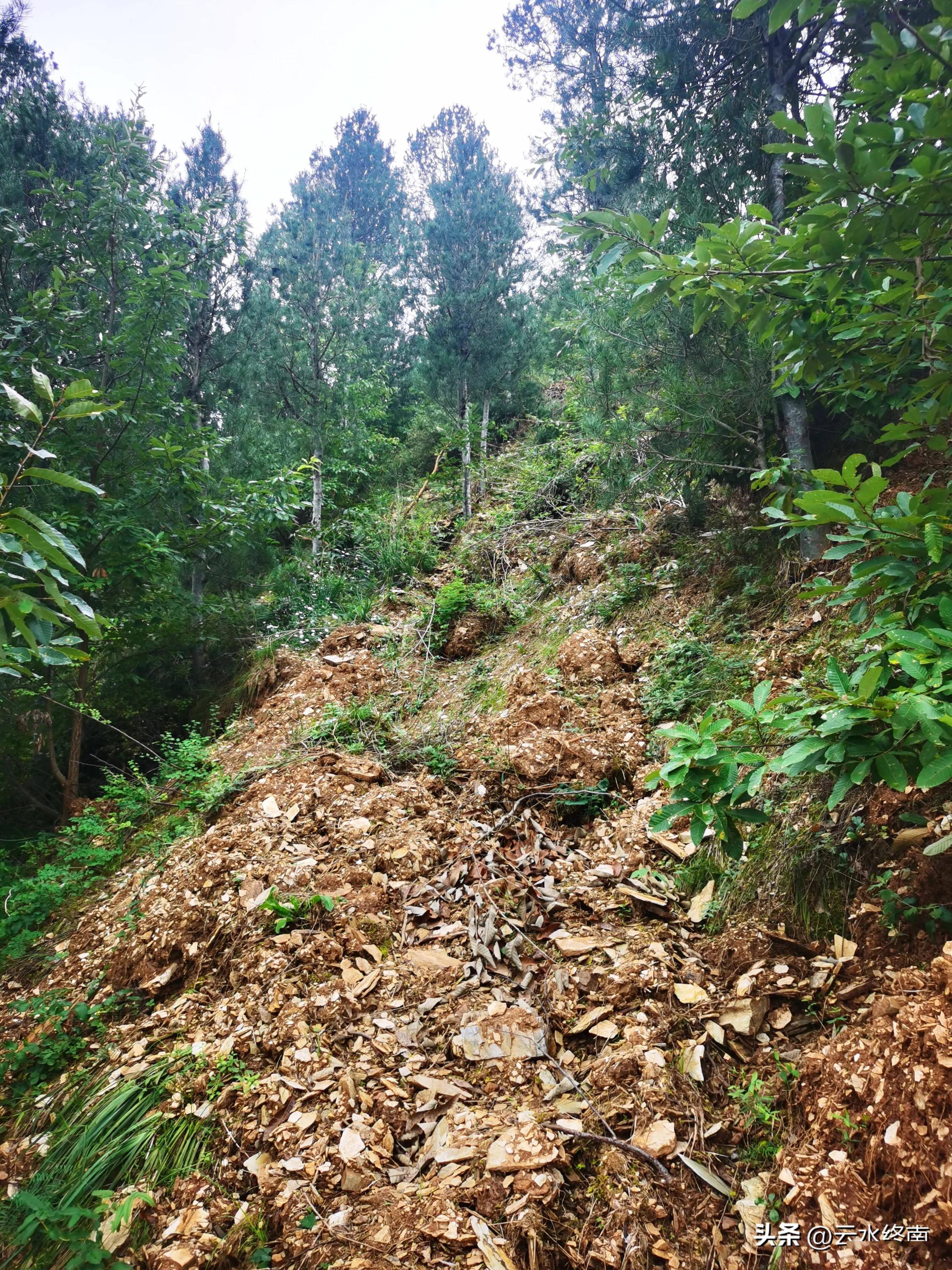 石墙石顶石屋石牛羊猪圈来历成谜