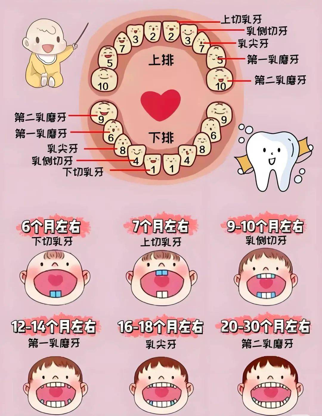 爱牙日|微微一笑 如"齿"闪亮