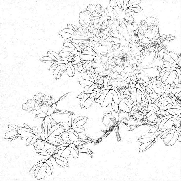 【国画教程】工笔《鸟语花香》教程