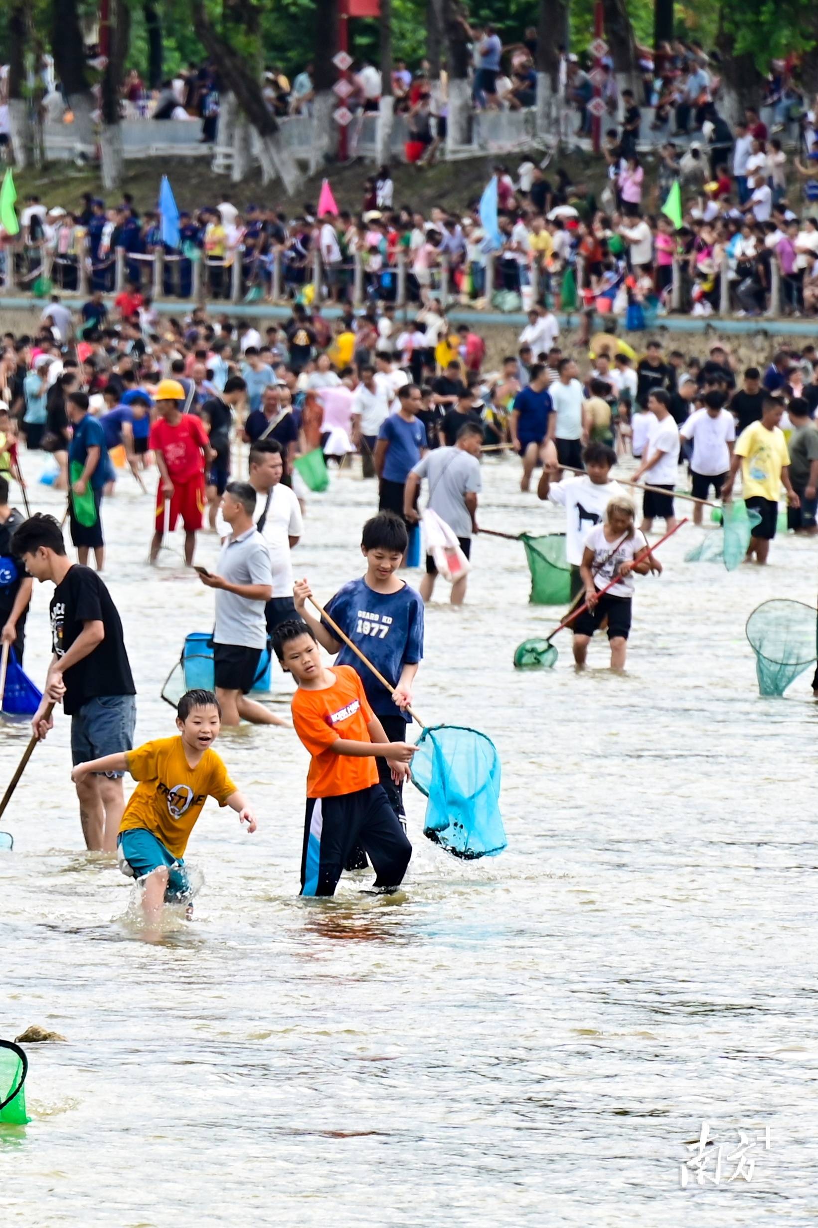 视频直击连南稻香鱼肥好"丰"景|跟着"瑶族舞曲"去旅行系列报道
