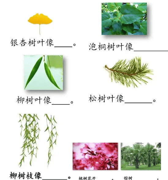 统编语文二年级上册识字2《树之歌》仿写句子+仿写范文小练笔,孩子写作可参考!_柳树_开花_四季