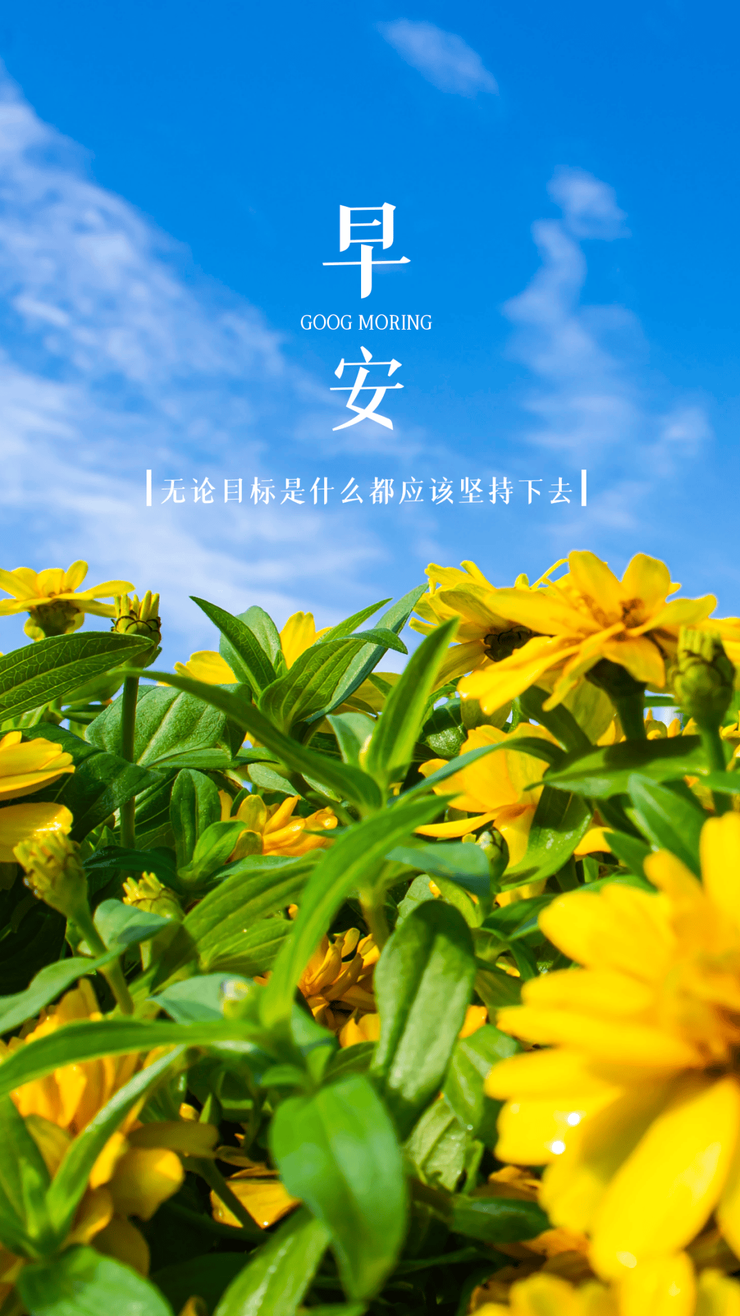 9月24日早安语录正能量句子!
