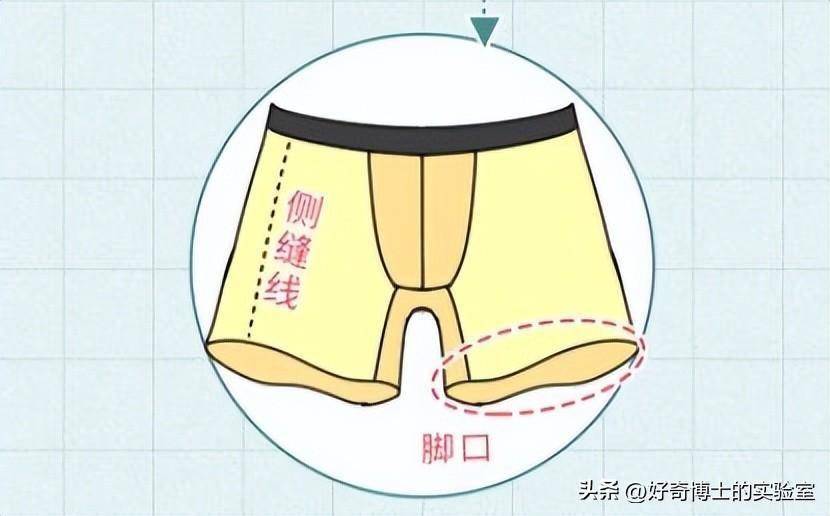 你们根本不知道,男士内裤的正确穿法!