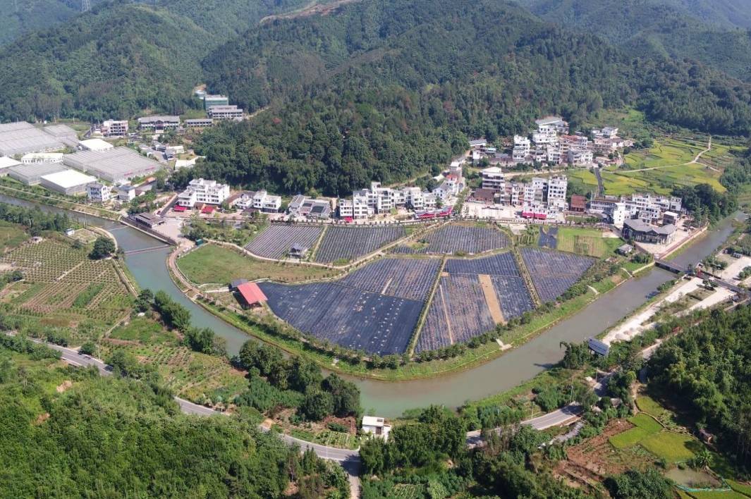 乡村振兴结硕果!清远英德连樟村以"千万工程"礼赞丰收