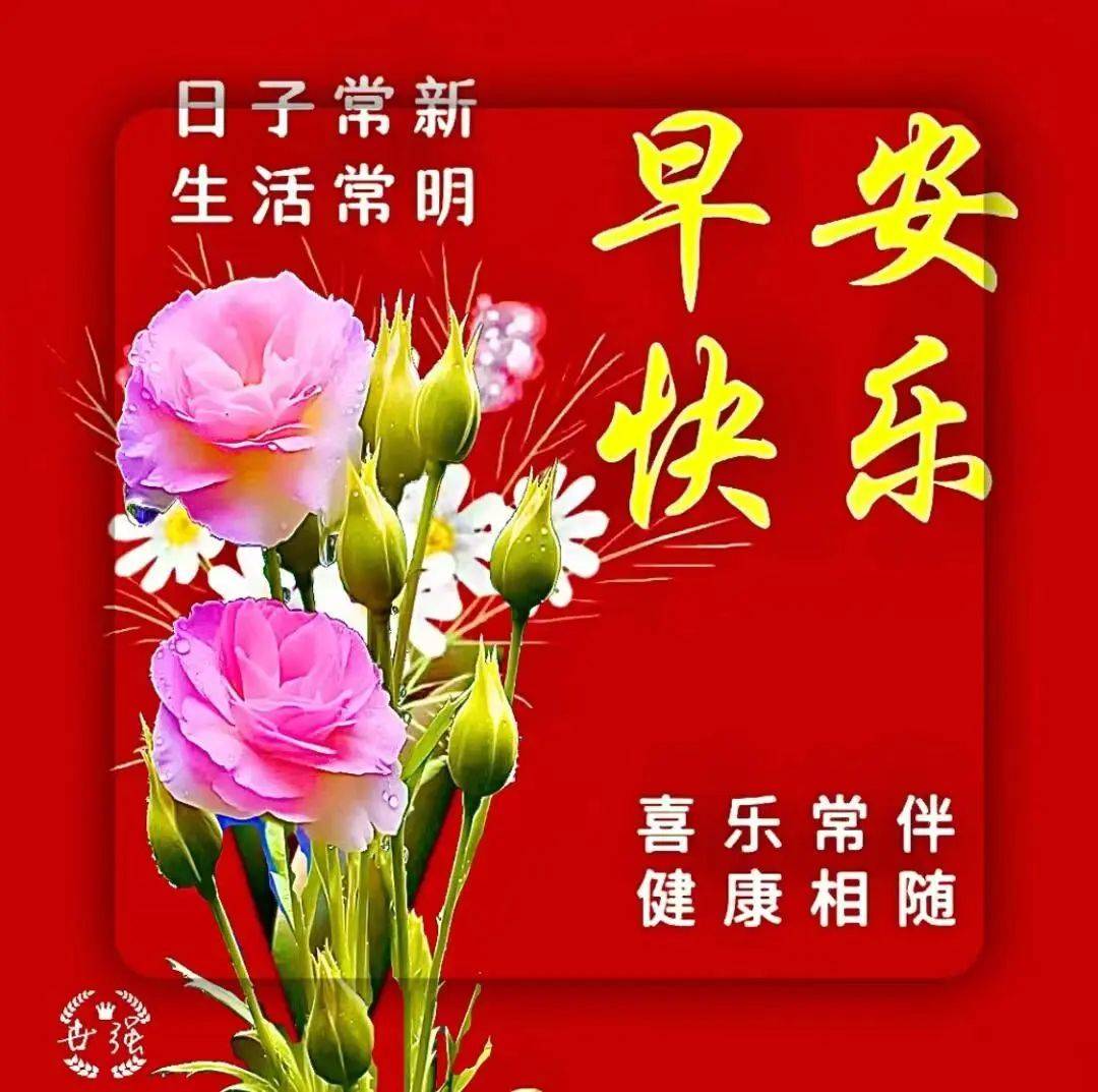 中老年早上好表情包大全