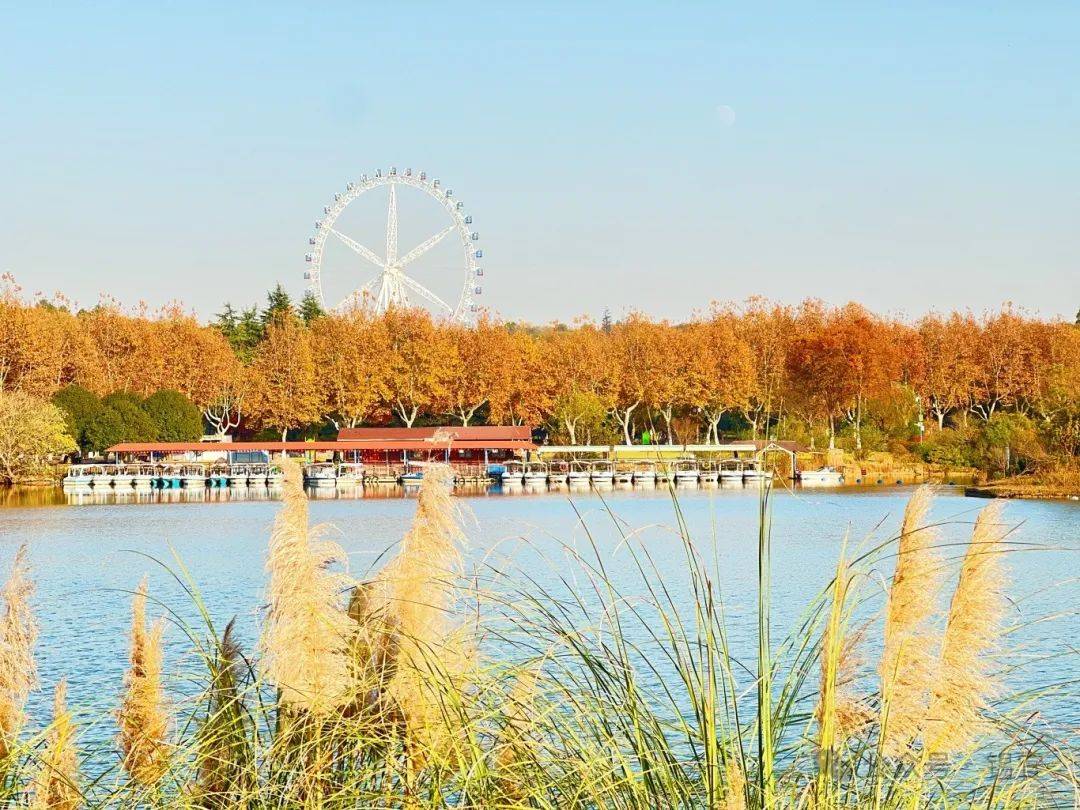 宜兴主城区旅游潜力挖掘_宜兴市老干部局_宜兴主城区文旅发展