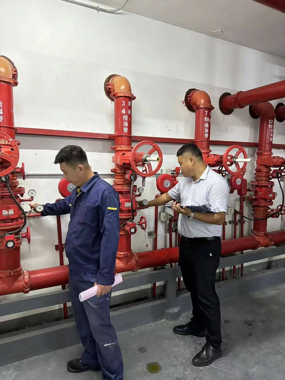 物业监督员具体检查什么(物业监督员具体检查什么项目)