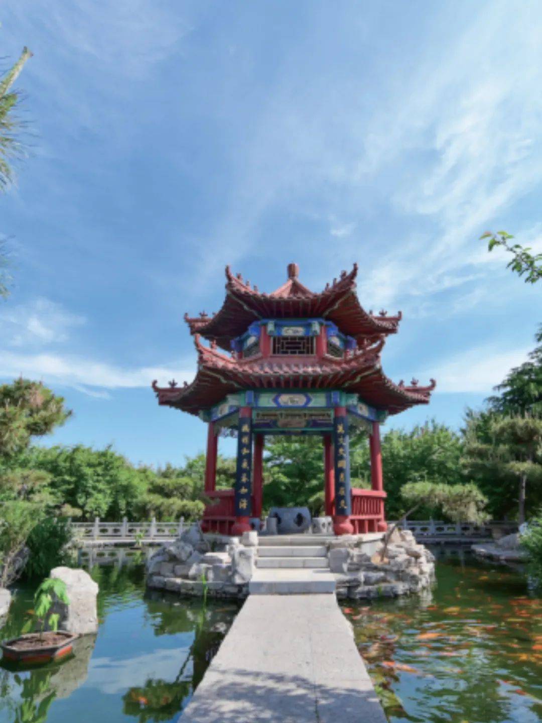 文章配图-72
