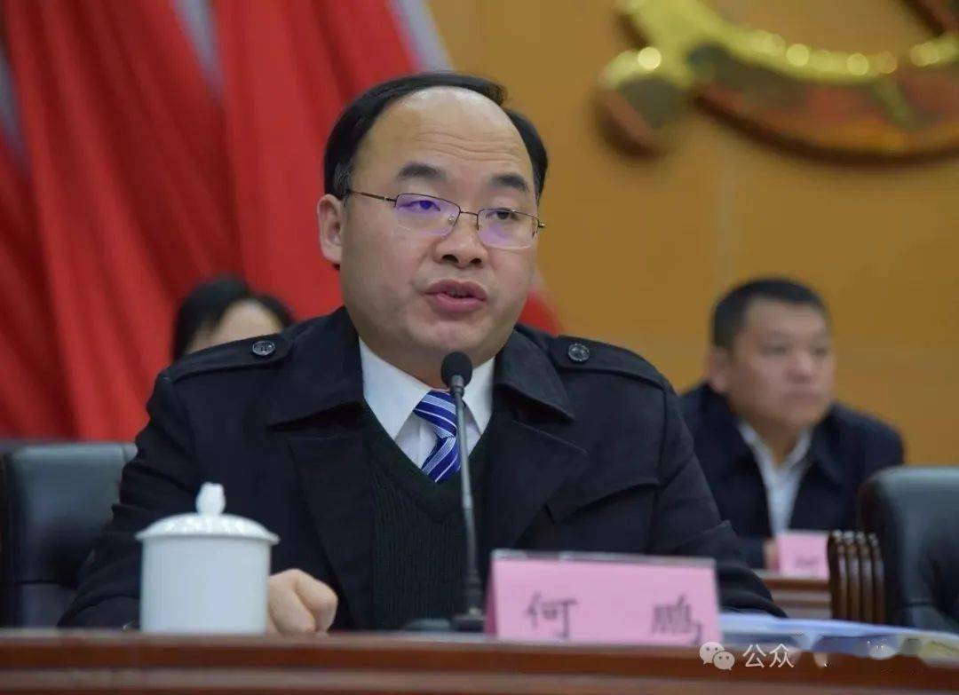 南部人何鹏任四川省西充县委书记