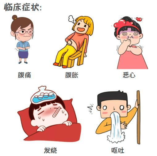 【健康科普】喜迎国庆!别让"假期病"盯上你——急性胰腺炎科普