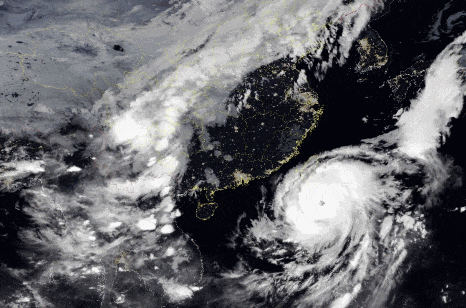 台风再升级!苍南接下来太刺激