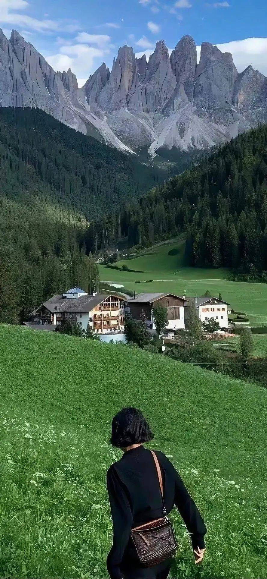 专题|高清绿色壁纸特辑