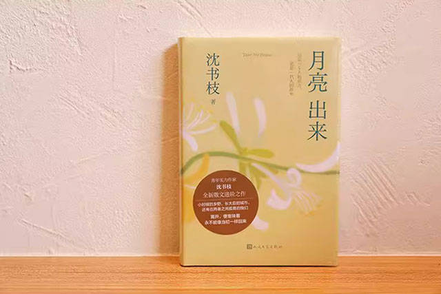 王辉城:月亮的故事_月光_沈书枝_手电筒